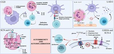 The paradox of autoimmunity and autoinflammation in inherited neutrophil disorders – in search of common patterns